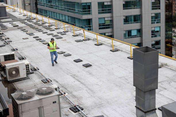 Best Solar Panel Roofing Installation  in Mishicot, WI